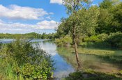 Löschwassersee.jpg