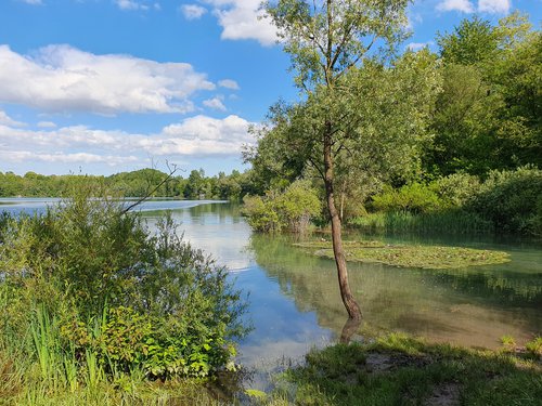 Löschwassersee.jpg