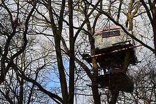 Hambacher Forst