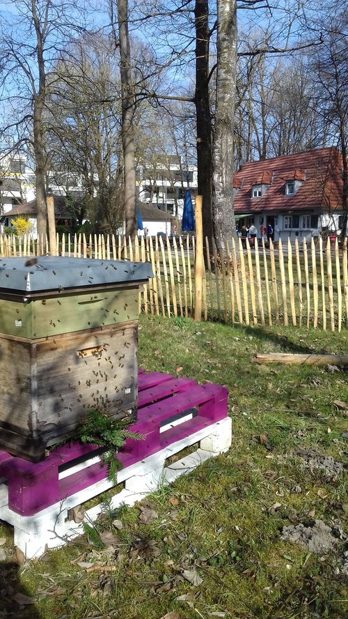 Bienen