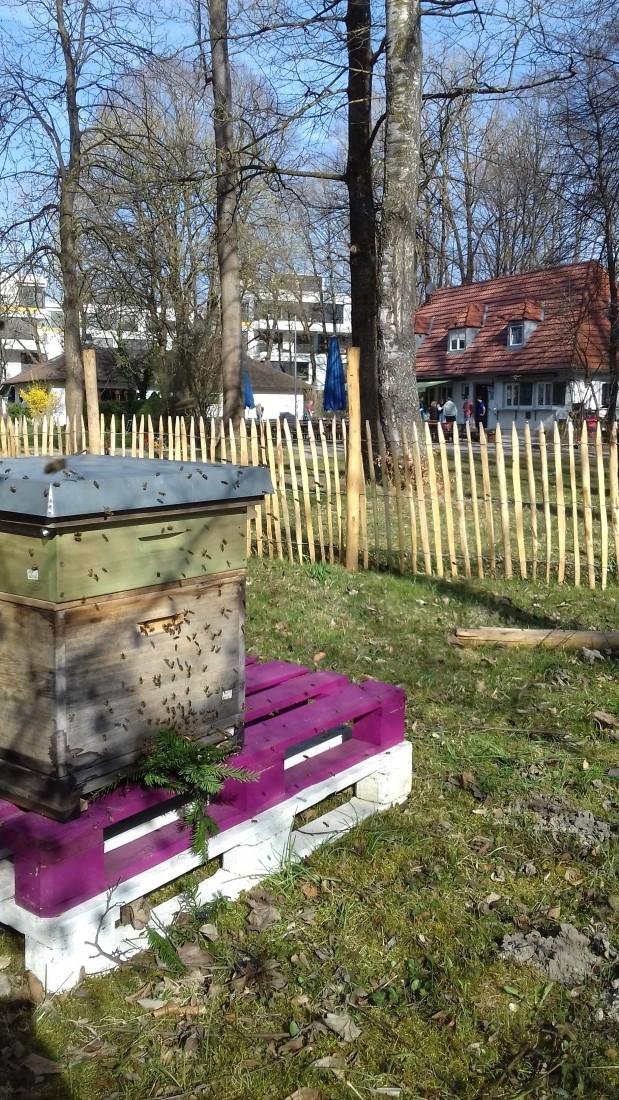 Bienencheck