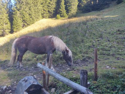 Hüttenwochenende_Obersendling2