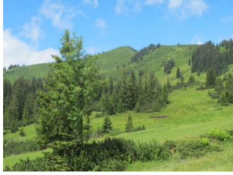 Riedberger Horn