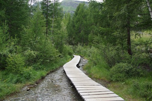 Suone-Beitra-Rundweg-Visperterminen.jpg