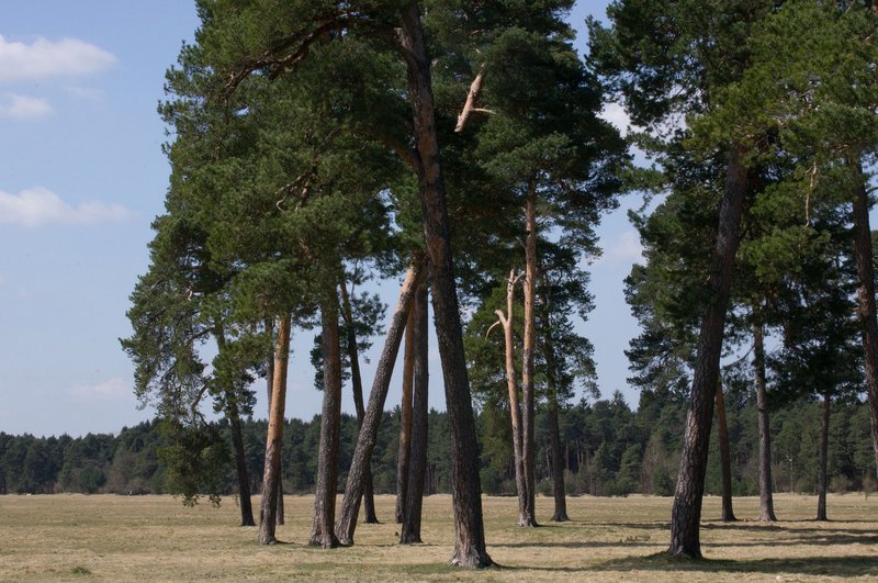 Fröttmaninger Heide