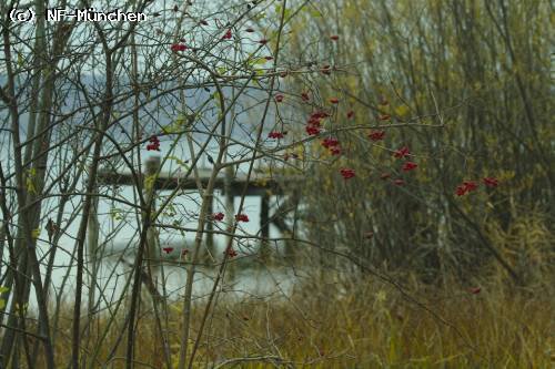 Herbstwanderung Ammersee