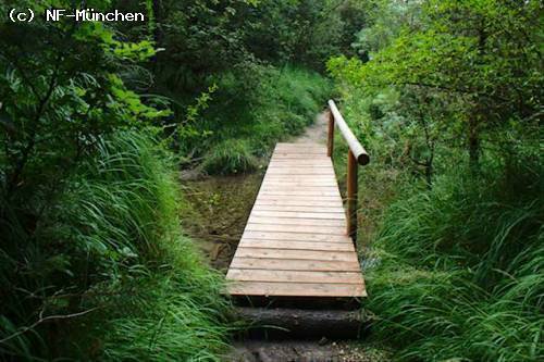 Wanderung Ickinger Au